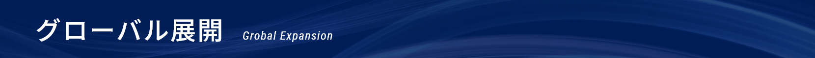 グローバル展開｜Global Expansion